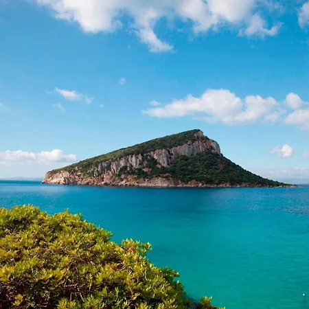 Lägenhet Baia De Bahas